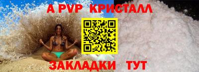 спиды Гатчина