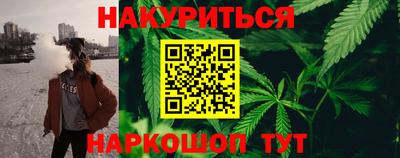 спиды Гатчина