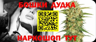 спиды Гатчина