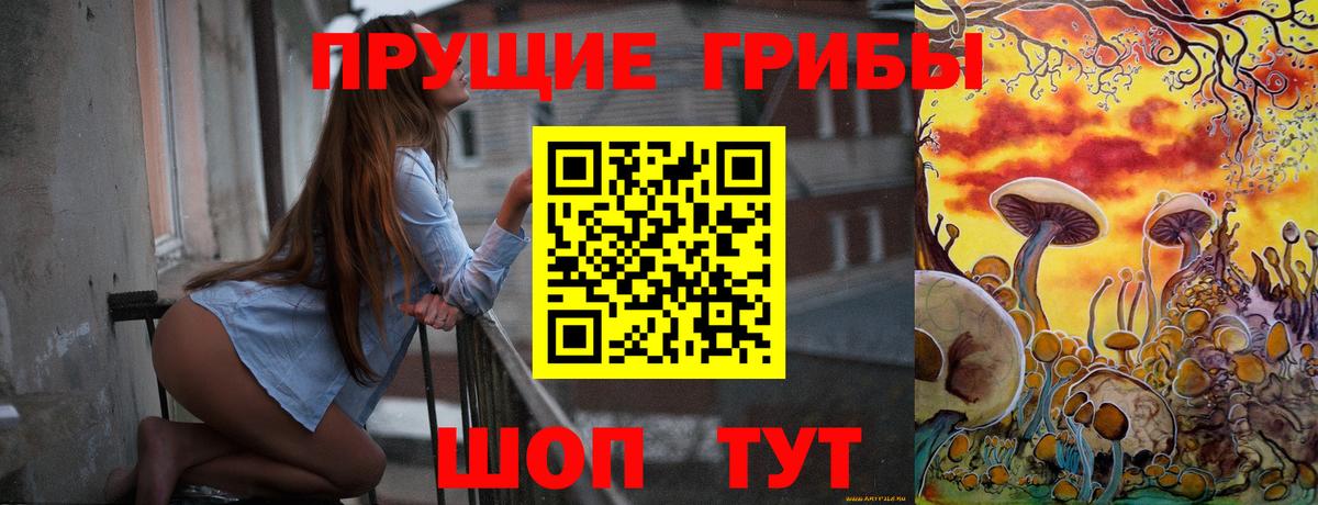 Псилоцибиновые грибы прущие грибы Сегежа